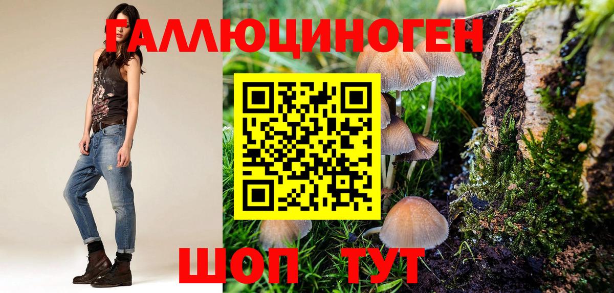 Галлюциногенные грибы ЛСД Лесной